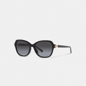 Black Coach Hinged Horse And Carriage Square Sunglasses Women Eyewear | 645SHRIBU