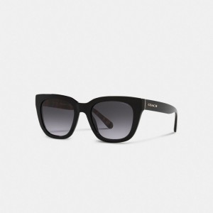 Black Coach Legacy Stripe Square Sunglasses Women Eyewear | 953OUAFWG