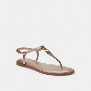 Champagne Coach Jessica Sandal Women Sandals | 620APRZGQ