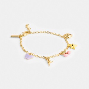 Gold / Multicolor Coach Cherry And Heart Charm Bracelet Women Jewelry | 482NXLIBU