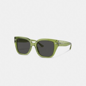 Green Coach Charms Oversized Square Sunglasses Women Eyewear | 183JHAQXE