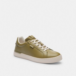 Moss Coach Lowline Low Top Men Sneakers | 314HKQFIO