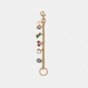 Multicolor Coach Motif Chain Bag Charm Women Straps, Charms, and Keyrings | 038OETYNP