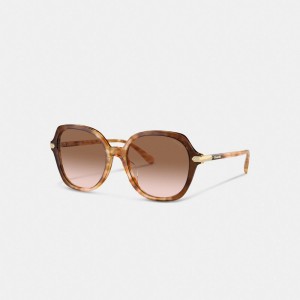 Orange Coach Wrap Around Hangtag Oversized Geometric Round Sunglasses Women Eyewear | 478YHAJBQ