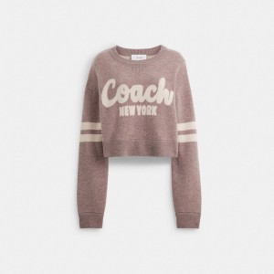 Pink Coach Cropped Coach Sweater Women Tops | 304GLMOPB