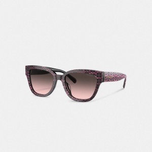 Ruby Pearlized Signature Coach Signature Round Sunglasses Women Eyewear | 921LASKGZ