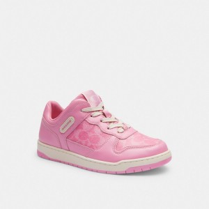 Vivid Pink Coach C201 Low Top In Signature Canvas Women Sneakers | 483PTHGYM