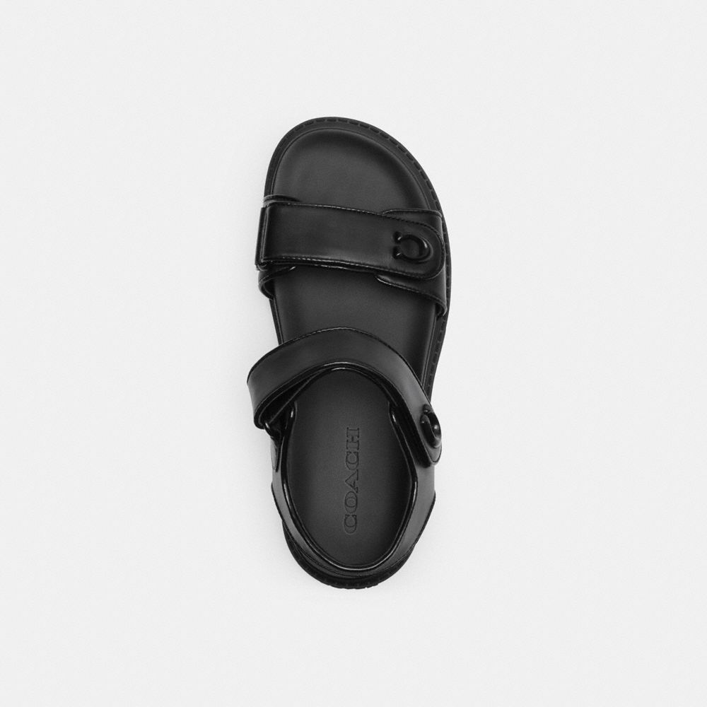 Black Coach Brynn Sandal Women Sandals | 945LEPNUW