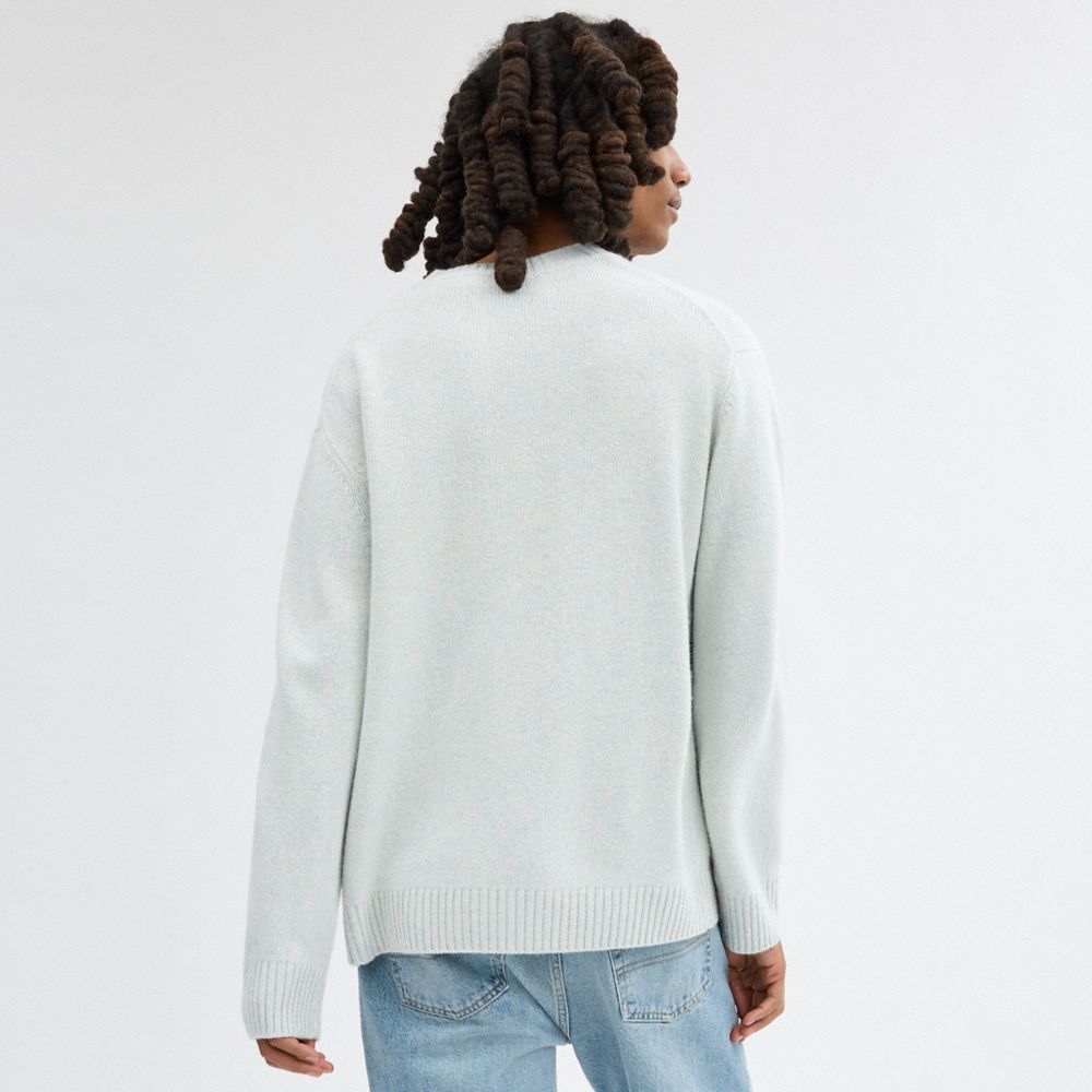 Blue Coach Sweater Men Tops & Bottoms | 518QHCBOR