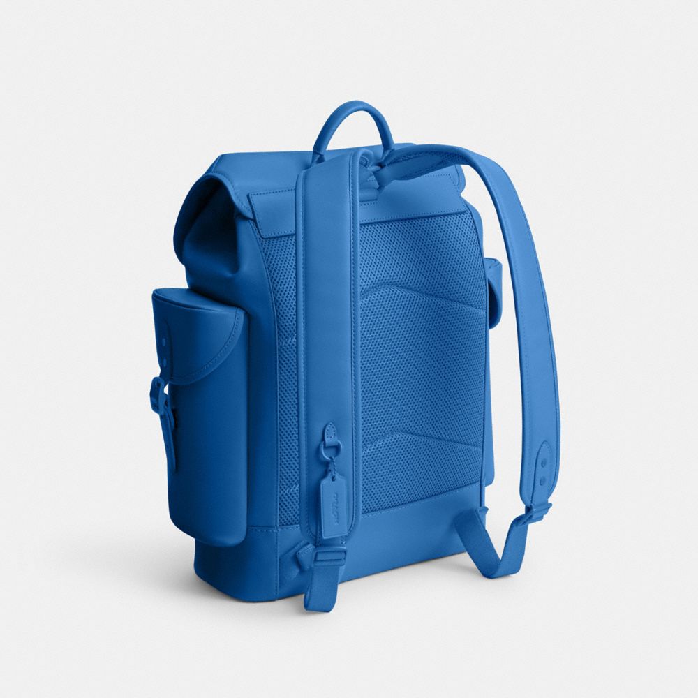 Blueberry Coach Hitch Men Backpacks | 436KYIFZH