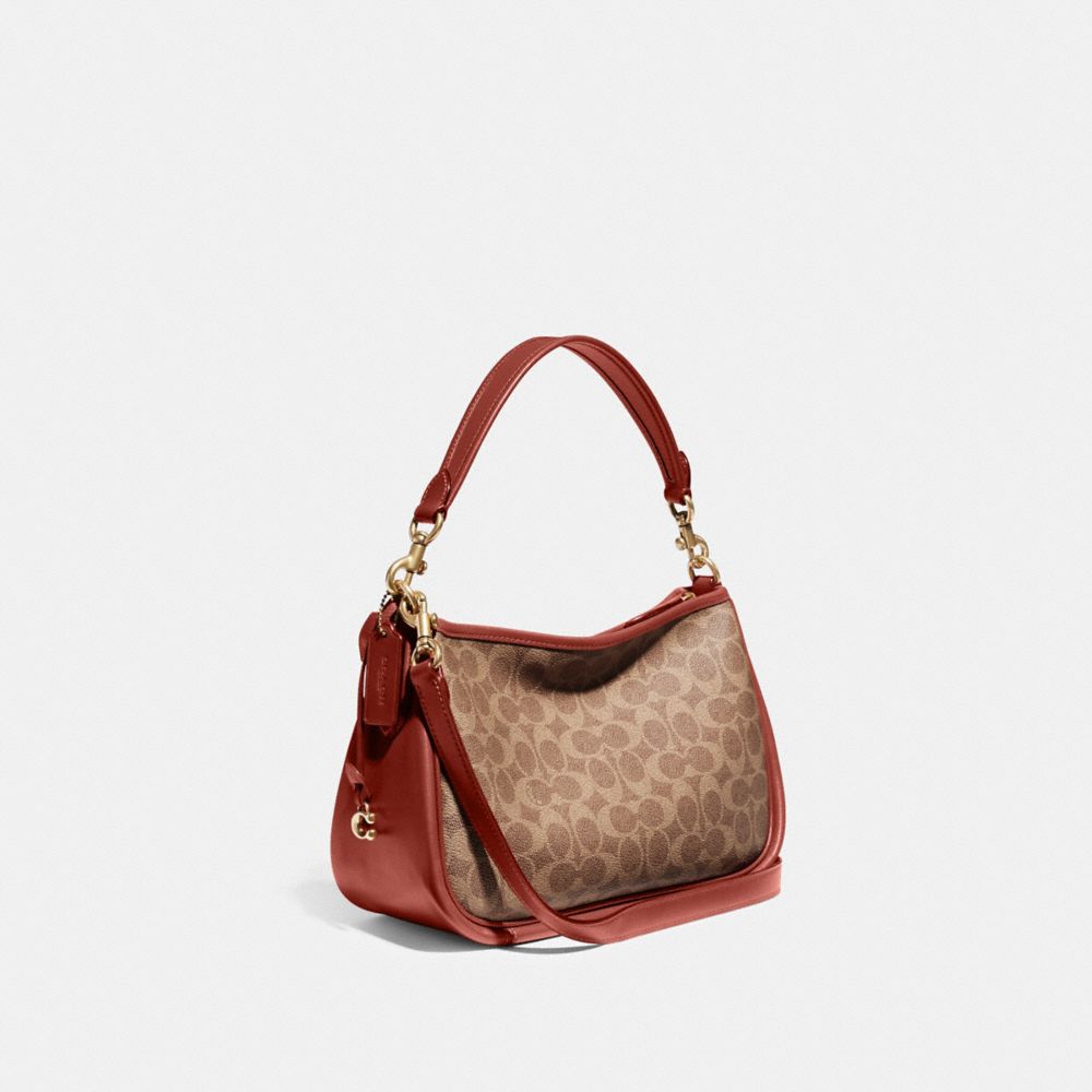 Brown / Red Coach Cary In Signature Canvas Women Crossbody Bags | 806QSWIBK