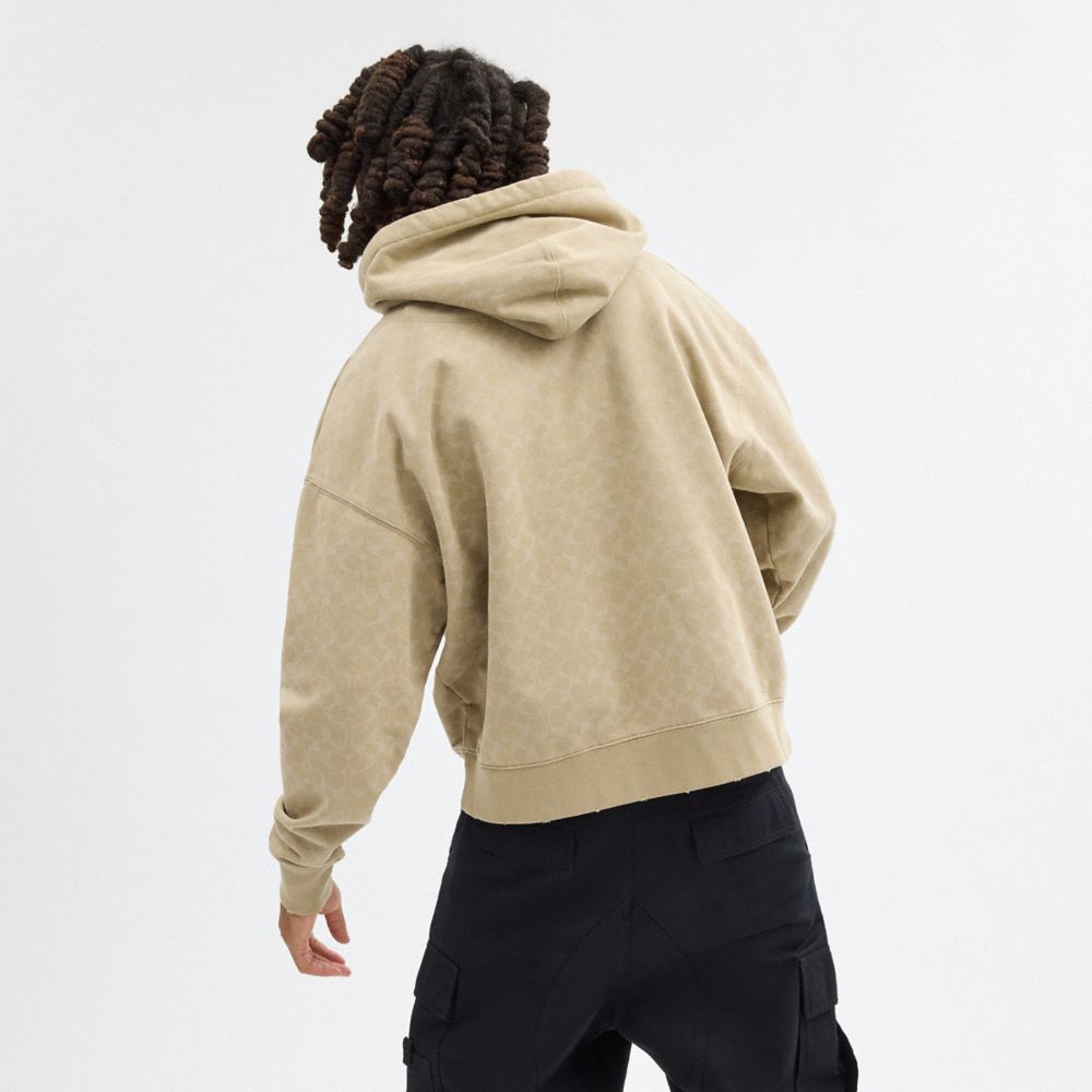 Khaki Coach Signature Long Sleeve Relaxed Americana Pullover Hoodie Men Tops & Bottoms | 032HRISQO