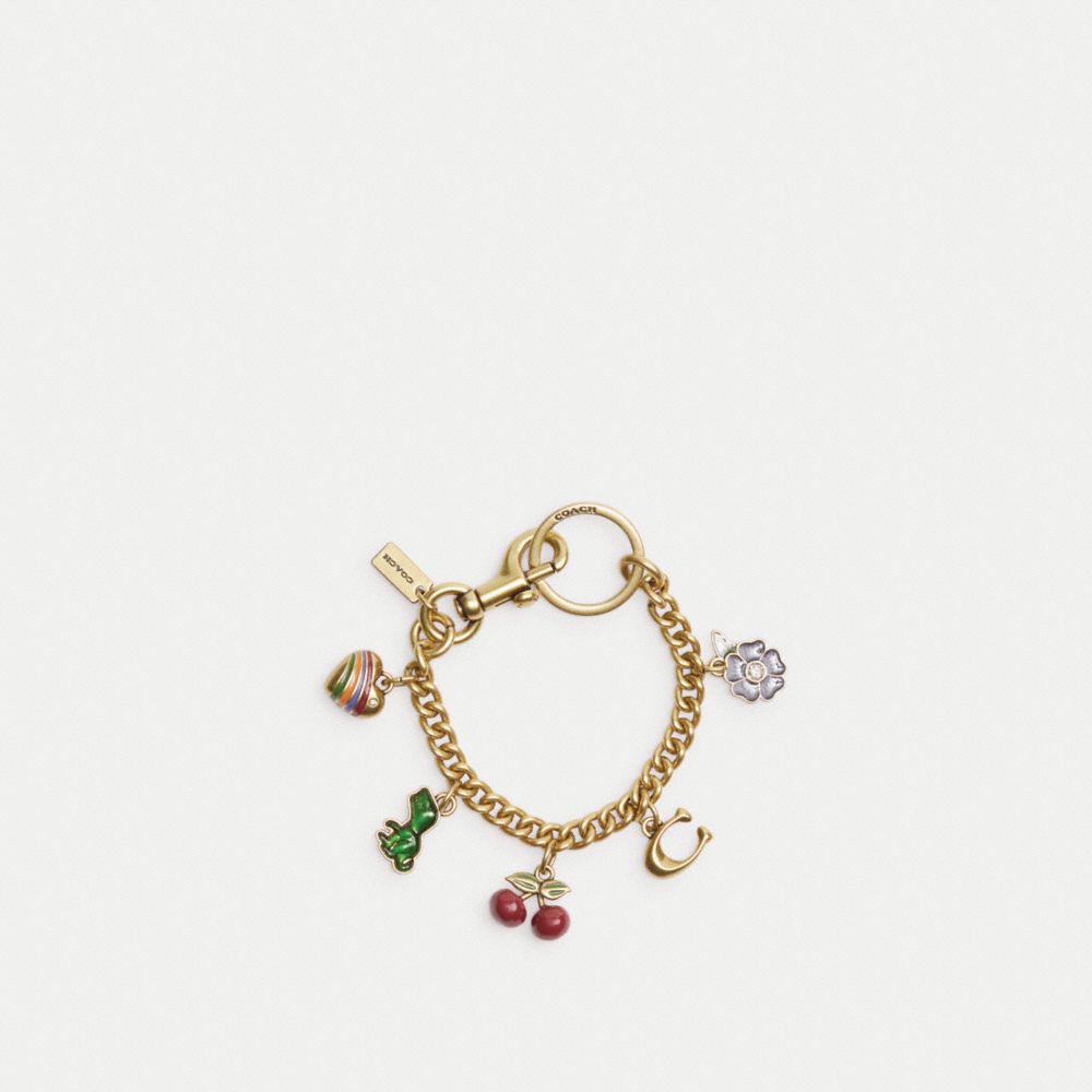 Multicolor Coach Motif Chain Bag Charm Women Straps, Charms, and Keyrings | 038OETYNP