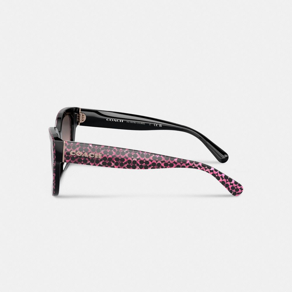 Ruby Pearlized Signature Coach Signature Round Sunglasses Women Eyewear | 921LASKGZ