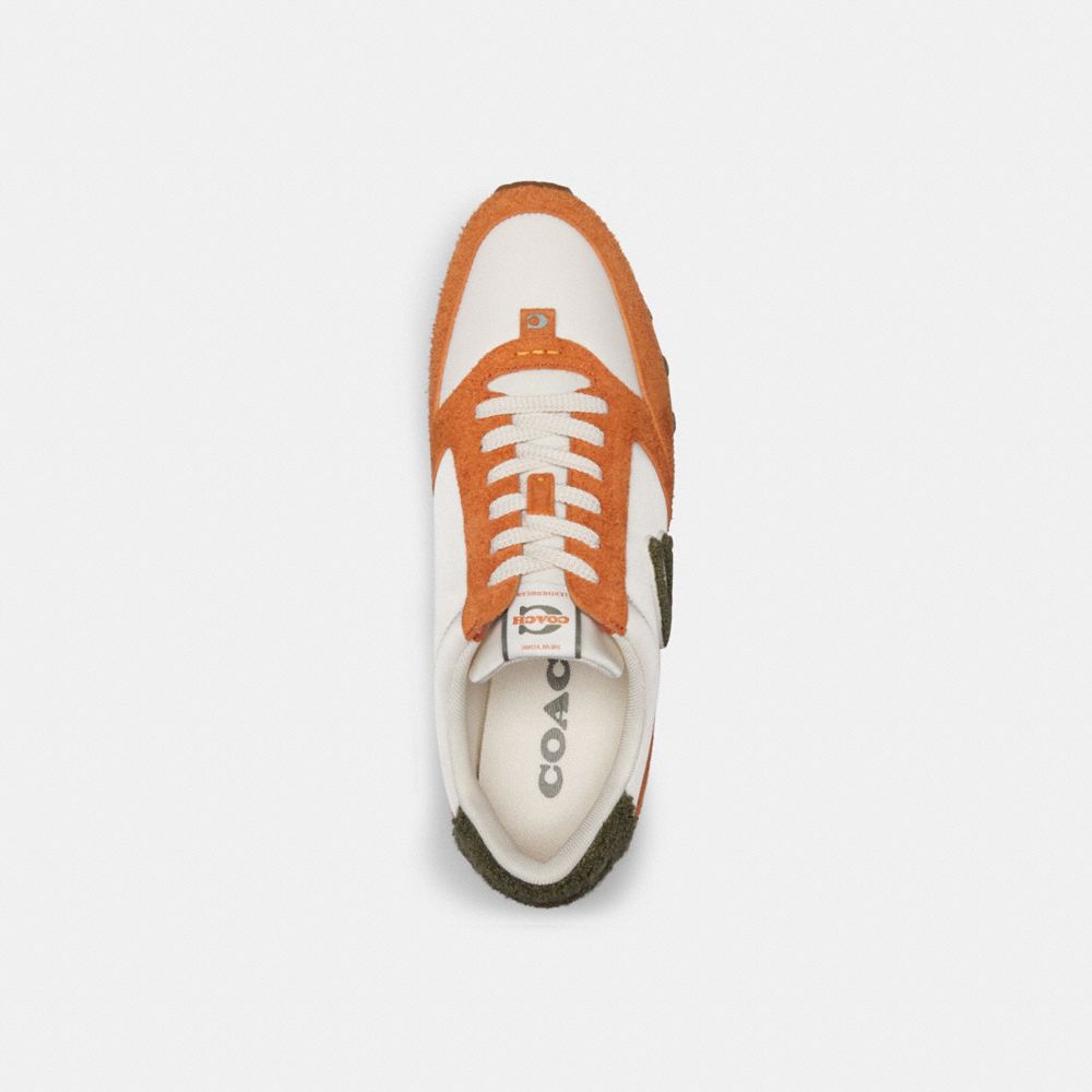 Spice Orange/Chalk Coach Runner Men Sneakers | 490ZPJMUY